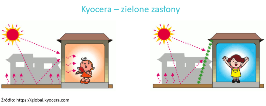 Kyocera – zielone zasłony 892x356 - Multisolving: Combining activities to protect health and climate