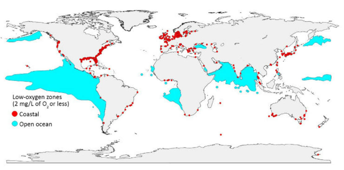 rybka - Globalny zaduch w morzach i oceanach: powiększają się pustynie tlenowe